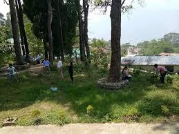 Kalimpong College College Campus photo 6